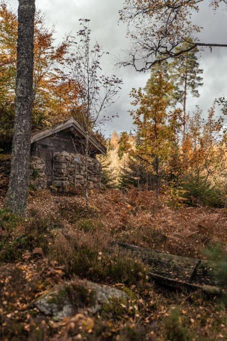 Malaskog Gamla Station Ryssby Bagian luar foto